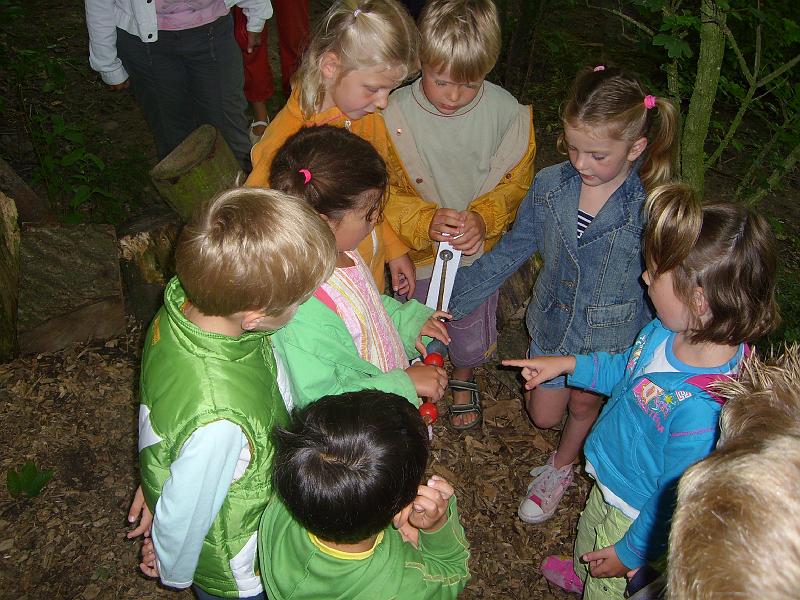 070612 skoalreiske beukers 042.jpg